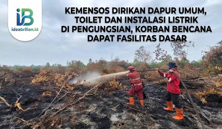 BNPB Ungkap Rangkaian Karhutla, Puluhan Hektare Lahan Hangus dalam Sepekan